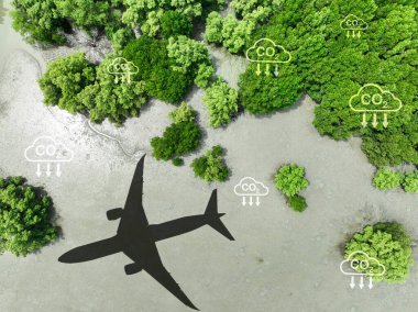 Mangrov ormanının üzerinde uçan gölge uçak. Sürdürülebilir yakıt. Biyoyakıt havacılıkta. Sürdürülebilir ulaşım ve biyoyakıt kullanımlı çevre dostu uçuş. Havacılık sürdürülebilirliği. Mangrovlar CO2 yakaladı