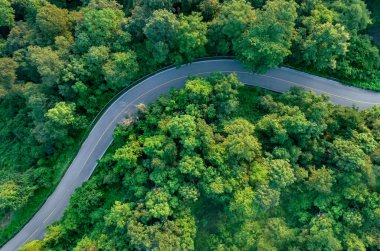 Ormandaki yoğun yeşil ağaçların havadan görünüşü CO2 ve kavisli karayolunu yakalıyor. Karbon nötr ve net sıfır emisyon kavramı için yeşil ağaçlar. Sürdürülebilir yeşil çevre. Karbon kredi