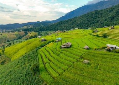 Tayland, Chiangmai yakınlarındaki bir köyde yeşil pirinç terasları ve geleneksel kulübelerin manzarası. Seyahat yerleri. Teraslı pirinç tarlalarının güzelliği. Asya 'da kırsal yaşam ve geleneksel tarım uygulamaları.