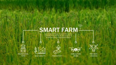 Akıllı tarım teknolojisi tarımsal uzmanlıkla karşılaşıyor. Hassas çiftlik hayvanları yönetimi ve tarım dronları verimliliği artırır. Modern tarım uygulamaları. Sürdürülebilir tarım alanında yenilik.