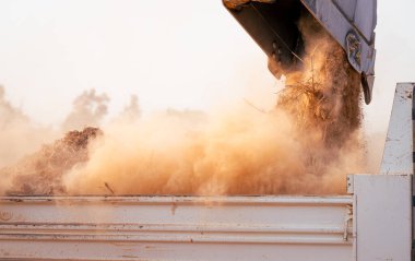 İnşaat alanındaki ağır yük kamyonuna toprak yükleyen kepçe. Sürüngen kazıcı güçlü kovayla toprak taşıyor. Ağır inşaat makineleri. Endüstriyel toprak taşıma ekipmanları iş başında