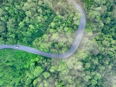 Yeşil ormandaki dolambaçlı bir yolda sisli bir şekilde giden elektrikli aracın havadan görünüşü. Sürdürülebilir ulaşım, sıfır emisyon ve karbon ayak izlerini azaltmak için çevre dostu hareket.