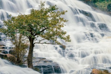Arkasında yemyeşil bir orman olan güzel bir şelale. Su kayalardan aşağı akıyor ve güzel bir manzara yaratıyor. Bereketli ormanda su sürdürülebilirliğini destekleyen sürdürülebilir şelale.