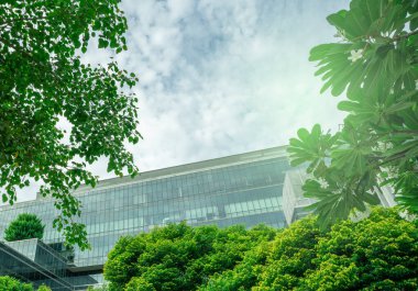 Modern şehirde çevre dostu bir bina. Isı ve karbondioksiti azaltmak için ağaç olan sürdürülebilir cam ofis binası. Yeşil çevresi olan bir ofis binası. Şirket binası CO2 'yi düşürdü.