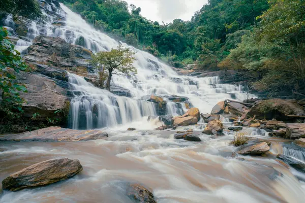 Arkasında yemyeşil bir orman olan güzel bir şelale. Su kayalardan aşağı akıyor ve güzel bir manzara yaratıyor. Bereketli ormanda su sürdürülebilirliğini destekleyen sürdürülebilir şelale.