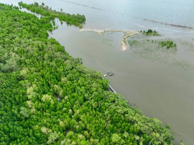 Hava manzaralı yeşil mangrov ormanı. Doğal karbon batar. Mangrov ağaçları CO2 'yi yakalar. Mavi karbon ekosistemleri. Mangrovlar karbondioksit emisyonlarını absorbe eder ve küresel ısınmayı azaltır. Yeşil ekosistem.