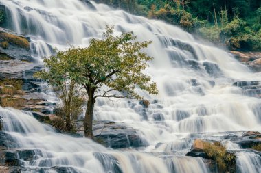Arkasında yemyeşil bir orman olan güzel bir şelale. Su kayalardan aşağı akıyor ve güzel bir manzara yaratıyor. Bereketli ormanda su sürdürülebilirliğini destekleyen sürdürülebilir şelale.