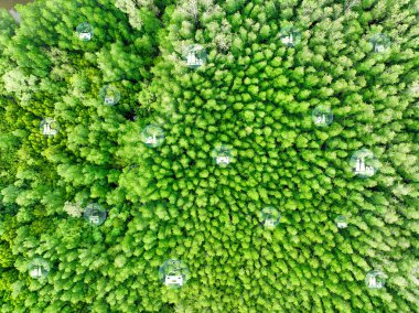 Karbon nötr kavramı. Fabrikalardan ve taşımacılıktan karbon emisyonlarının yeşil ağaç tarafından yakalanması. Doğal karbon çöküşleri, CO2 azalması, kirlilik dengesi ve çevresel sürdürülebilirlik.