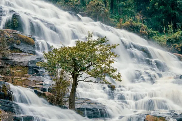 Arkasında yemyeşil bir orman olan güzel bir şelale. Su kayalardan aşağı akıyor ve güzel bir manzara yaratıyor. Bereketli ormanda su sürdürülebilirliğini destekleyen sürdürülebilir şelale.