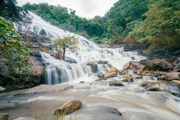 Arkasında yemyeşil bir orman olan güzel bir şelale. Su kayalardan aşağı akıyor ve güzel bir manzara yaratıyor. Bereketli ormanda su sürdürülebilirliğini destekleyen sürdürülebilir şelale.