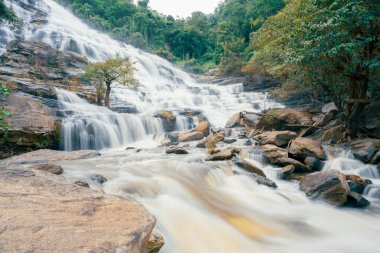 Arkasında yemyeşil bir orman olan güzel bir şelale. Su kayalardan aşağı akıyor ve güzel bir manzara yaratıyor. Bereketli ormanda su sürdürülebilirliğini destekleyen sürdürülebilir şelale.