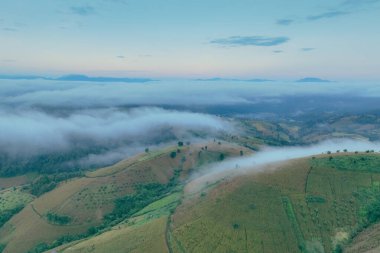 Şafak vakti sisle kaplı yeşil tepelerin sakin hava manzarası. Manzaralı bir kırsal alanda huzurlu bir kırsal bölge, doğa, refah ve seyahat teması için ideal. Çevre turizmi ve manzara güzelliği.