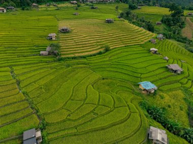 Bulutlu atmosferli yeşil pirinç terasları ve Kuzey Tayland 'daki uzak köy evleri, doğa ile uyumu ve ekolojik gezginler için otantik kırsal yaşam tarzını yansıtıyor..