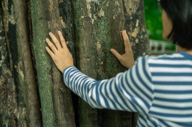Kadın elleriyle ağaç gövdesine dokunuyor. Orman banyosu, doğal iyileşme ve doğayla yeniden bağlantı kurma terapisi. İyileşme inzivası. Orman banyosu ve sürdürülebilir sağlık yasağı.