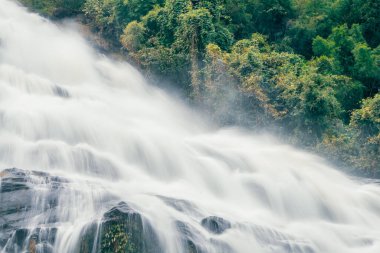 Arkasında yemyeşil bir orman olan güzel bir şelale. Su kayalardan aşağı akıyor ve güzel bir manzara yaratıyor. Bereketli ormanda su sürdürülebilirliğini destekleyen sürdürülebilir şelale.