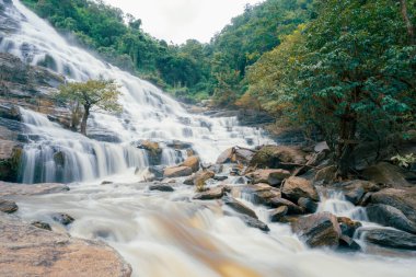 Arkasında yemyeşil bir orman olan güzel bir şelale. Su kayalardan aşağı akıyor ve güzel bir manzara yaratıyor. Bereketli ormanda su sürdürülebilirliğini destekleyen sürdürülebilir şelale.