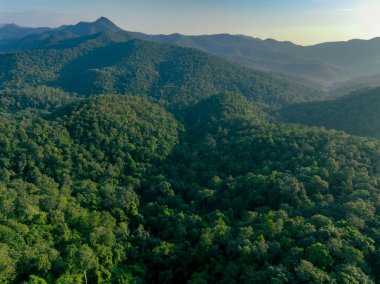 Yoğun yeşil orman dağının insansız hava aracı görüntüsü karbondioksit yakalıyor. Çevresel sürdürülebilirlik ve kurumsal sorumluluk için karbon nötr ve net sıfır emisyon kavramı. Biyolojik çeşitliliği koruma.