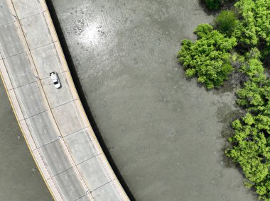 Araba sürüşünün ve yeşil mangrov ormanının havadan görünüşü. Sürdürülebilir ulaşım. Karbon nötr. Temiz taşımacılık için çevresel sürdürülebilirlik. Çevre dostu nakliye aracı. İklim değişikliği hafifletmesi