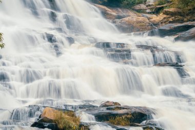 Arkasında yemyeşil bir orman olan güzel bir şelale. Su kayalardan aşağı akıyor ve güzel bir manzara yaratıyor. Bereketli ormanda su sürdürülebilirliğini destekleyen sürdürülebilir şelale.