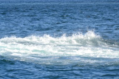 Boğaz, Marmara, İstanbul, Türkiye