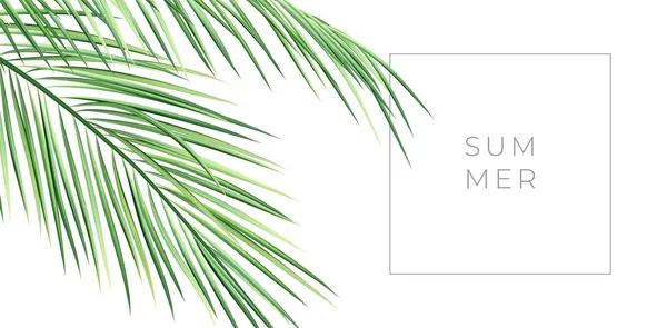 Reális Pálmaág Summer Tipográfiával Zöld Trópusi Levél Vektorillusztrációja Egzotikus Növényi — Stock Vector