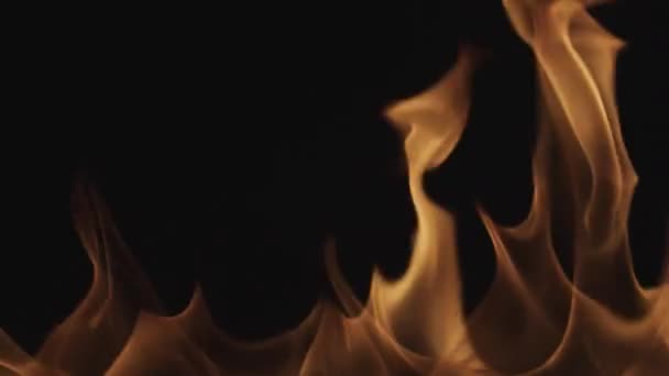 Tűz Lángja Fekete Háttér Ellen — Stock videók