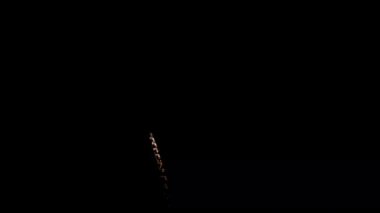 Siyah arka planda parlak, güzel havai fişekler. 