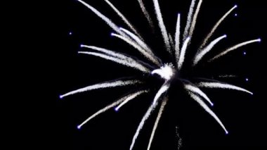 Parlak güzel havai fişekler, siyah bir arka planda uçan havai fişekler.