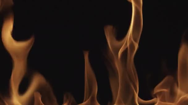 Beautiful Bright Burning Flame Black Background — Stock Video
