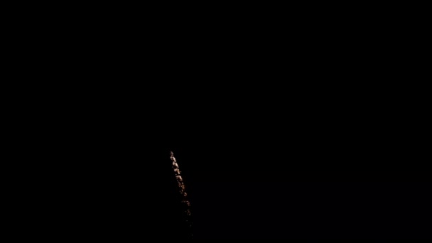 Leuchtend Schönes Feuerwerk Auf Schwarzem Hintergrund — Stockvideo