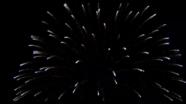 Leuchtend Schönes Feuerwerk Feuerwerk Auf Schwarzem Hintergrund — Stockvideo