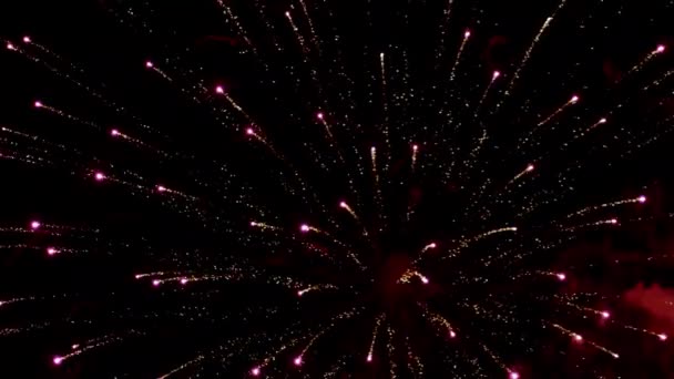 Leuchtend Schönes Feuerwerk Feuerwerk Auf Schwarzem Hintergrund — Stockvideo