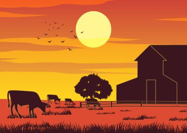 Gün batımında inekler otları yerken çiftliğin silueti tasarımı