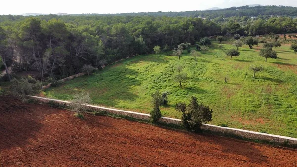 Drone Skott Ett Brunt Färgat Landskap Ibiza Spanien — Stockfoto