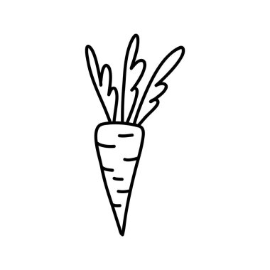 Simple black line drawing cartoon doodle carrot on white background. Vector illustration