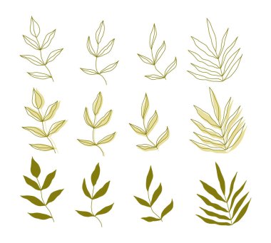 Yaprak seti. El çizimi soyut modern dekoratif öğeler. Vektör illüstrasyonu