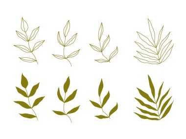 Yaprak seti. El çizimi soyut modern dekoratif öğeler. Vektör illüstrasyonu