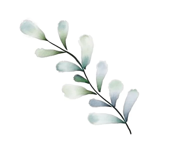 Akvarellgrönt Löv Abstrakt Blommig Gren Isolerad Vit Bakgrund För Bröllop — Stockfoto