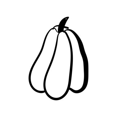 Kabak karalama vektör çizimi. İzole edilmiş el yapımı nesne. Sebze oymalı stil çizimi. Ayrıntılı vejetaryen yemek skeci. Çiftlik pazarı ürünü.