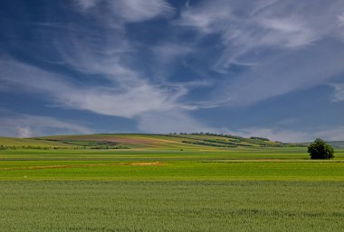 Mavi gökyüzü bulutlu yeşil çimenler yağmurlu bir günde arka planda