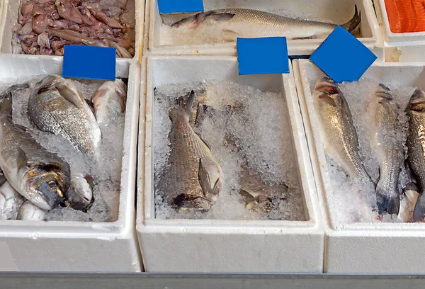 Świeże Ryby Morskie Lodzie Sprzedawane Rynku — Zdjęcie stockowe