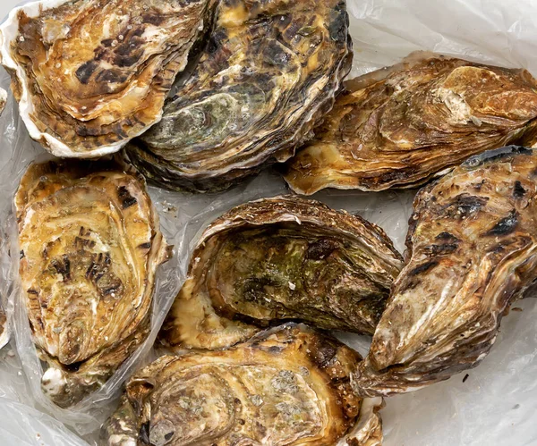 Haufen Geschlossener Roher Austern — Stockfoto