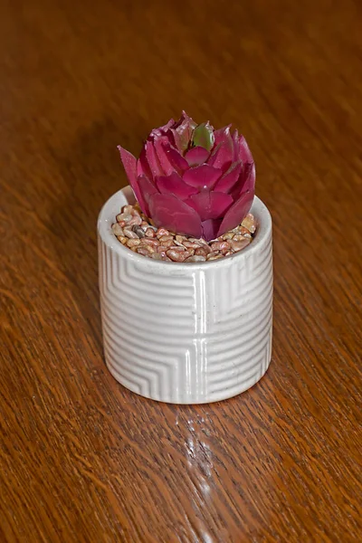 木制桌子上的白色陶瓷花瓶中的粉红花朵 — 图库照片