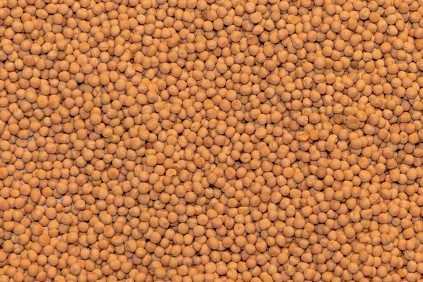 Großer Haufen Getrockneter Sojabohnen Hülsenfrüchte Auf Dem Agrarmarkt — Stockfoto