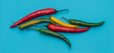 Mavi arka planda izole edilmiş renkli acı biber yığını.