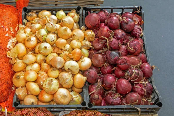 Plastik Kasalarda Taze Organik Beyaz Mor Soğanlar — Stok fotoğraf