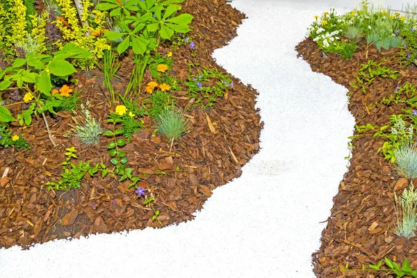 stock image Narrow trail path with dry garden plants and green leaves outdoors