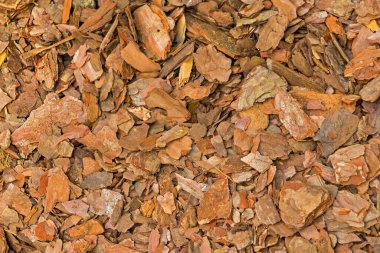 Kuru kahverengi ağaç kabuğu yığın deseni arkaplanı