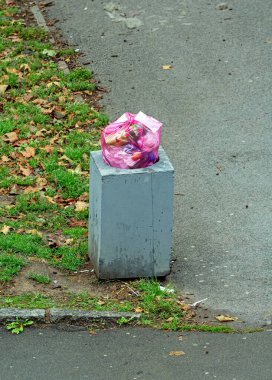Kamu parkındaki plastik poşetin içindeki hatalı açıkta kalan çöpler taş bir kutuya atıldı.
