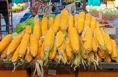 Dışarıdaki markette satılan taze organik çiğ mısır klipsleri.